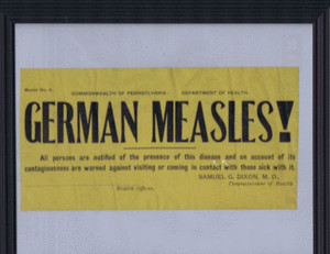 Quarantine! - Public Health Perils in the New Century. image